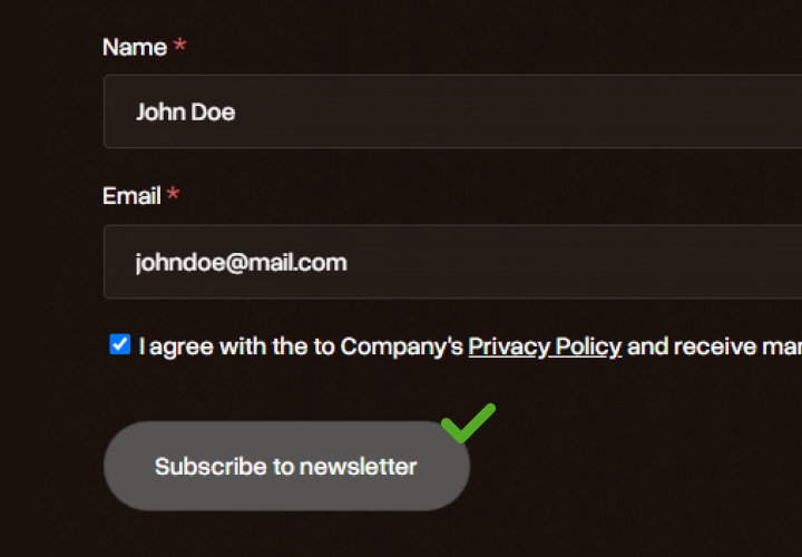 Newsletter subscription form with fields for name and email, and a checked box to agree with the privacy policy. The subscribe button has an accessibility checkmark.